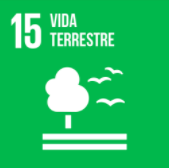 ODS15 - Vida terrestre